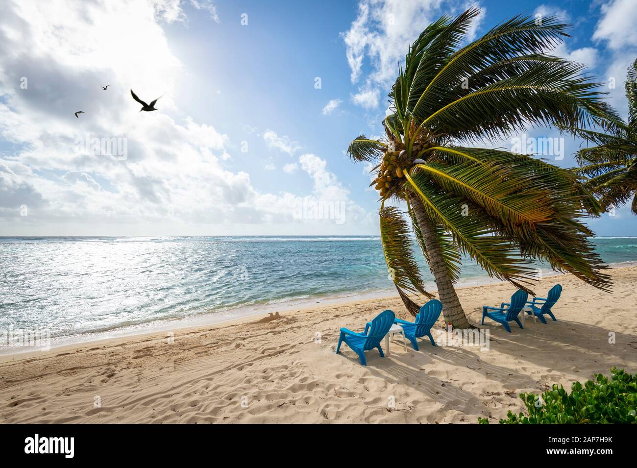 Sillas de playa en la playa con palmeras Foto de stock