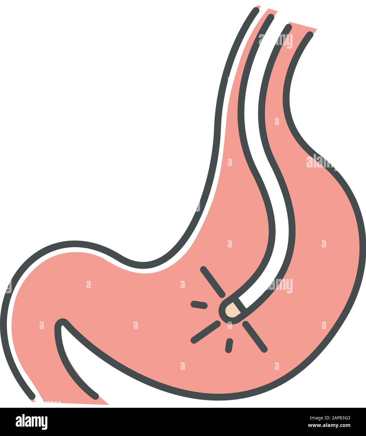 Icono De Color De Endoscopia Proceso De Gastroscopia Procedimiento Medico No Quirurgico Servicios Sanitarios Tratamiento Clinico Profesional Diagnostico De Enfermedades V Imagen Vector De Stock Alamy