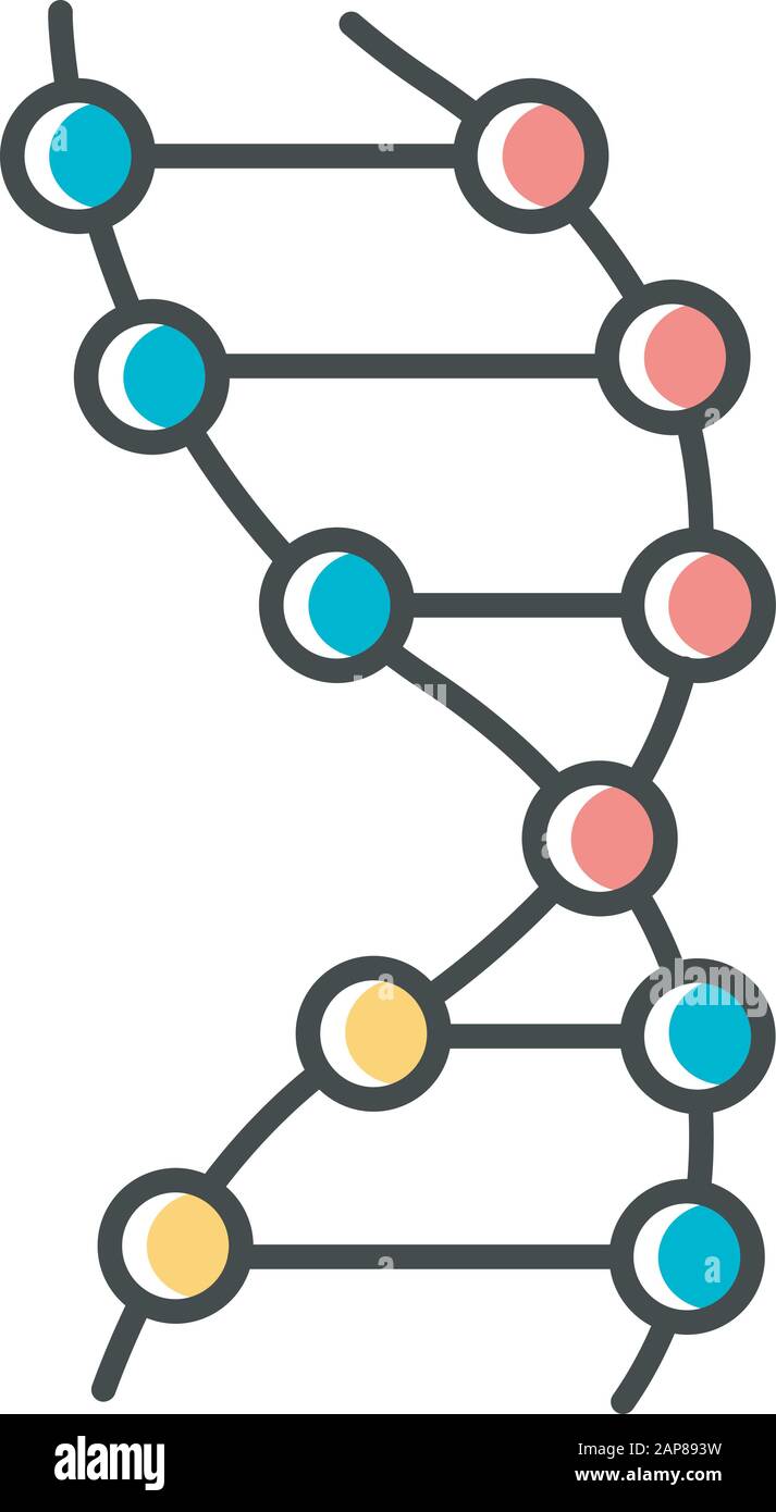 Icono de color de hélice de ADN. ADN-Z. Puntos conectados, líneas.  Desoxirribonucleico, estructura de ácidos nucleicos. Filamentos en espiral.  Cromosoma. Biología molecular. Genética c Imagen Vector de stock - Alamy
