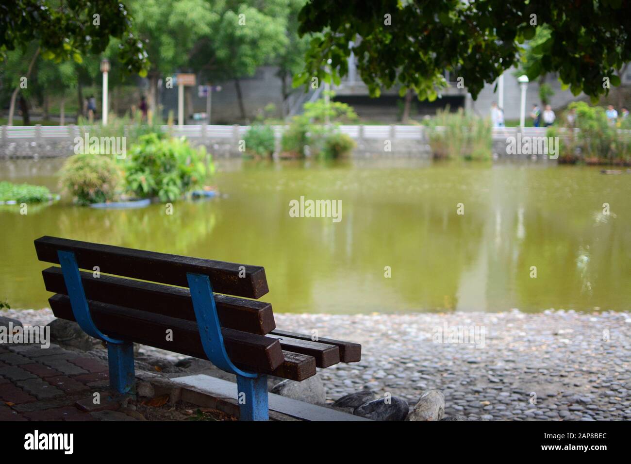 Banco del parque a la sombra junto a un tranquilo estanque en la ciudad de New Taipei Foto de stock