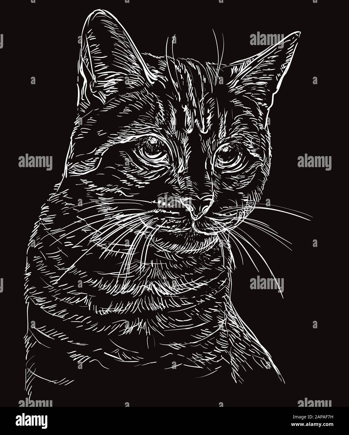 Vectores De Gato Negro Vector Fotos E Imagenes De Stock Alamy