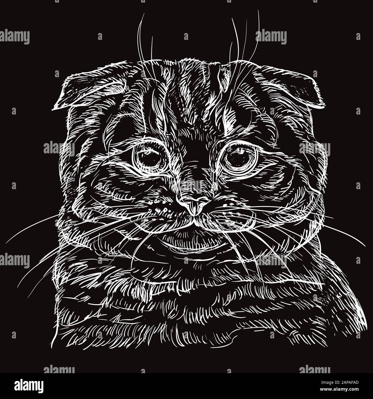 Dibujo de gato negro fotografías e imágenes de alta resolución - Alamy Dibujo de gato negro fotografías e imágenes de alta resolución - Alamy