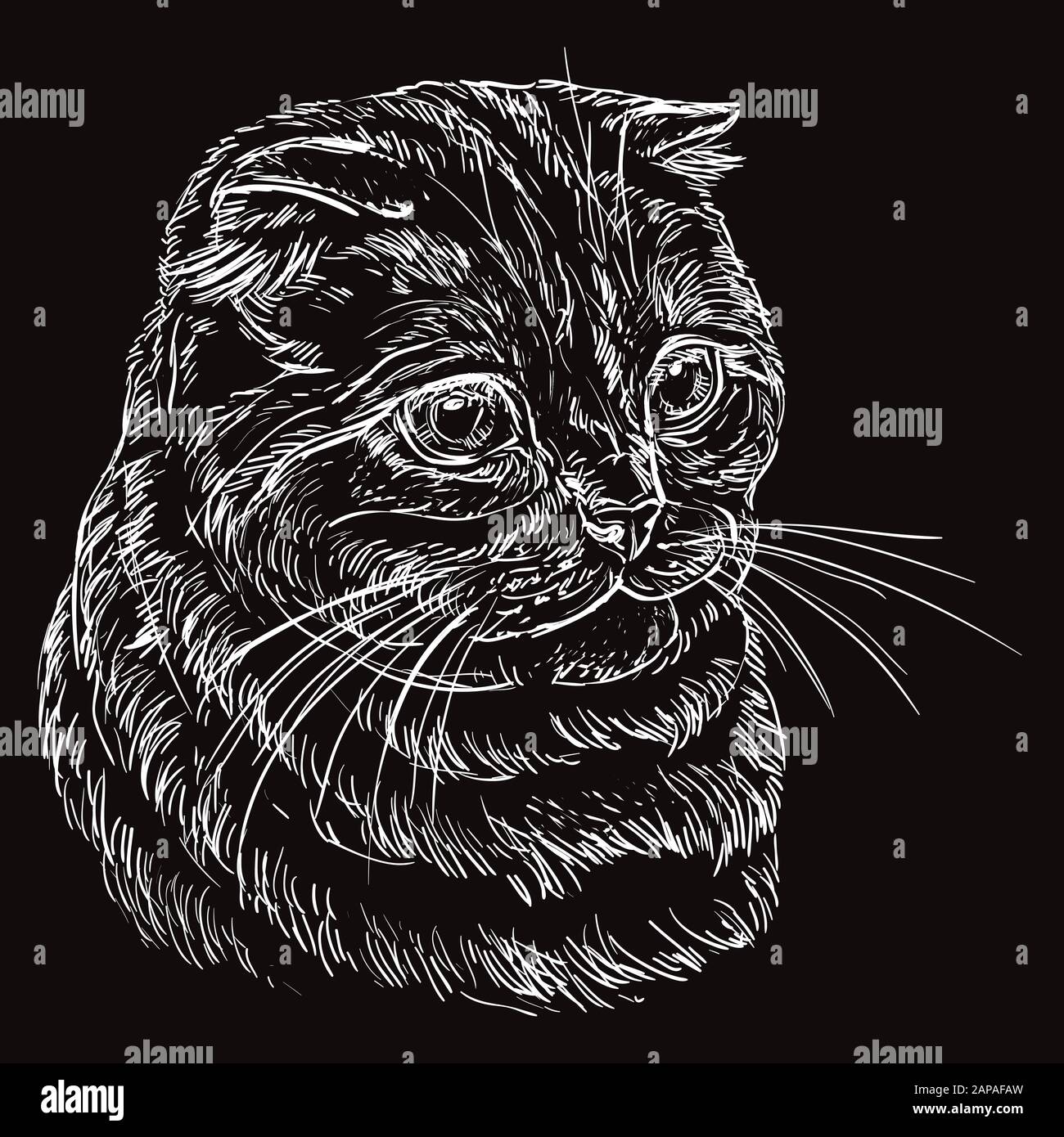 Dibujo De Gato Negro Fotos E Imagenes De Stock Alamy