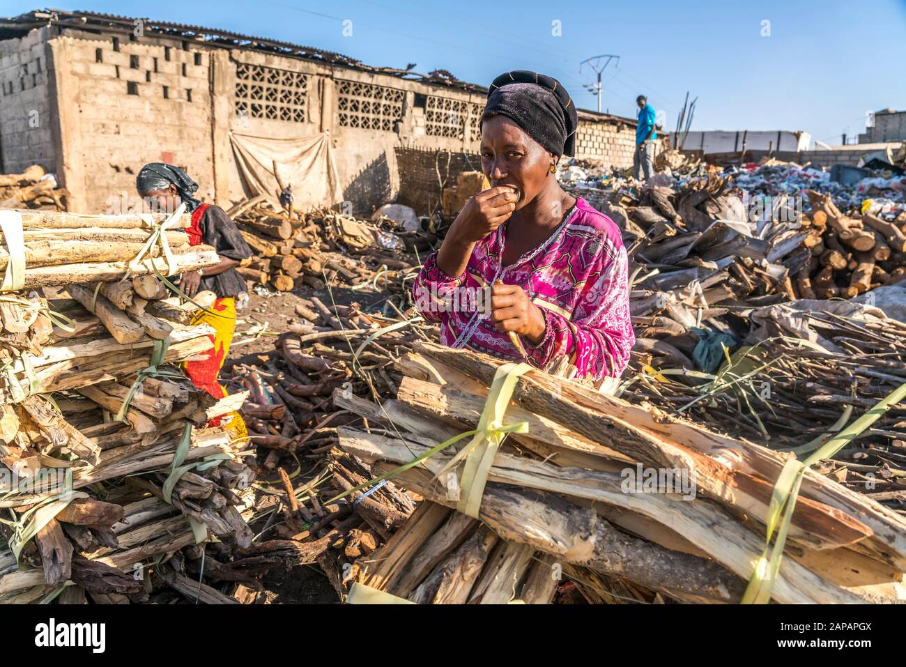 Verkäuferin mit Brennholz auf dem Markt in Tanji, Gambia, Westafrika | Mujer de ventas de leña en el mercado de Tanji, Gambia, África Occidental, Foto de stock