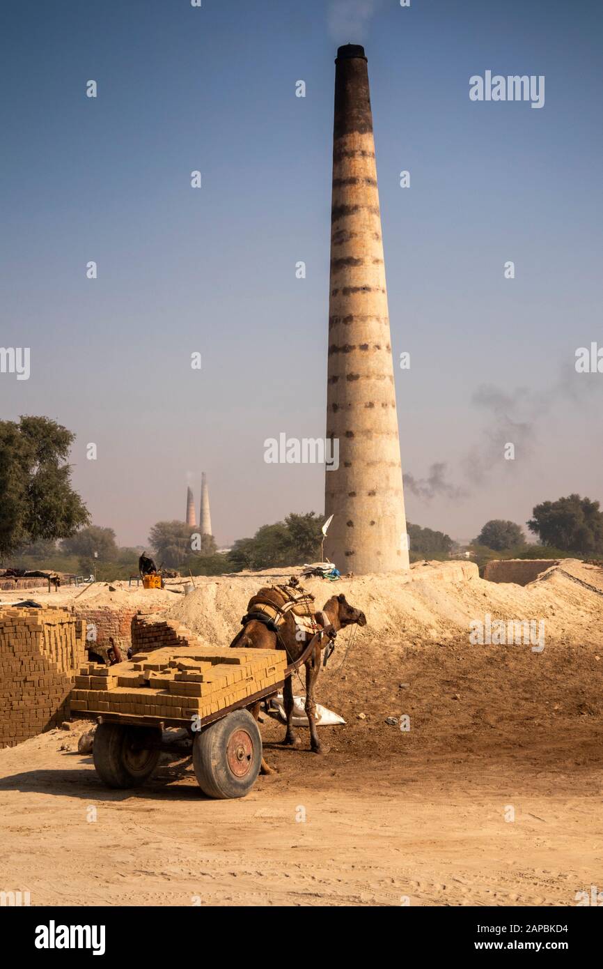 India, Rajasthan, Shekhawati, Bikaner, Gajner, ladrillos, carro de camellos que llevan ladrillos secos sin disparar para cargar en el horno Foto de stock