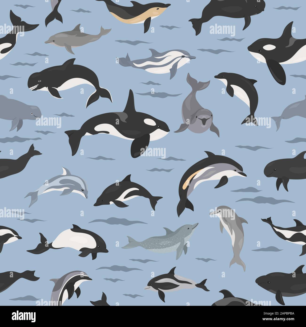 Delfines patrón sin costuras. Colección de mamíferos marinos. Diseño de dibujos animados de estilo plano. Ilustración vectorial Ilustración del Vector