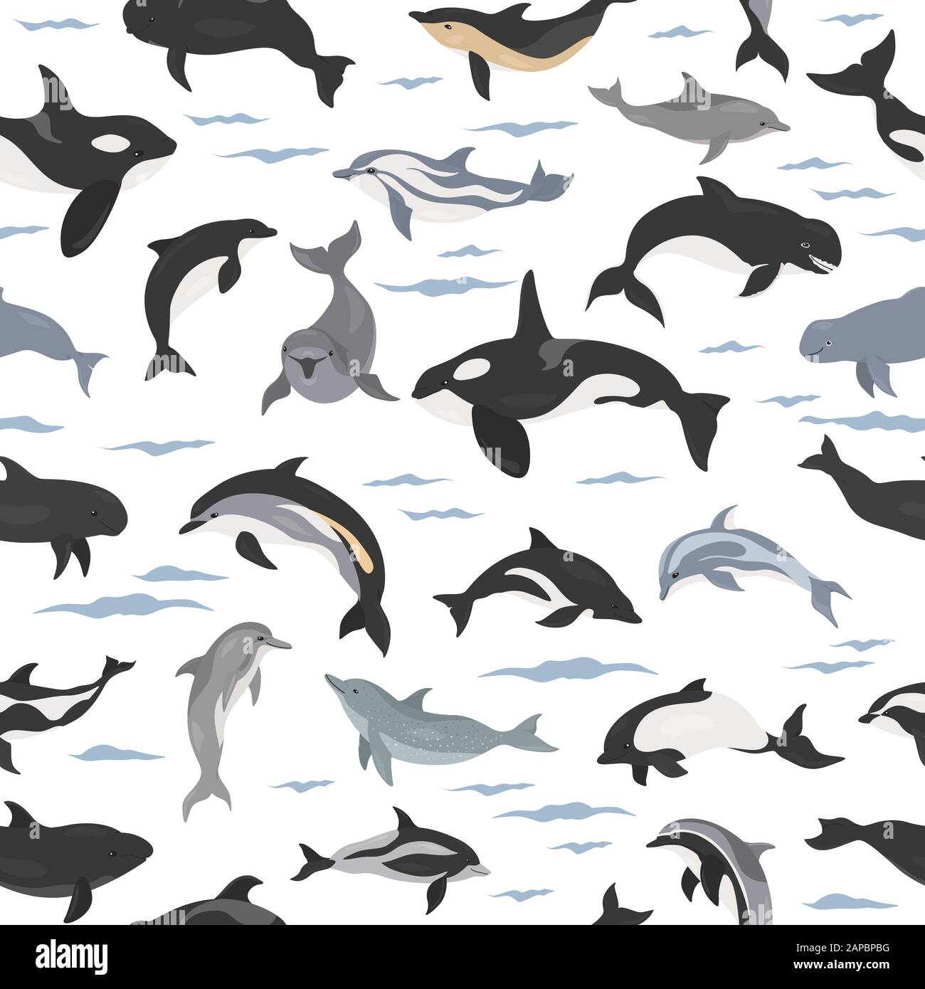 Delfines patrón sin costuras. Colección de mamíferos marinos. Diseño de dibujos animados de estilo plano. Ilustración vectorial Ilustración del Vector