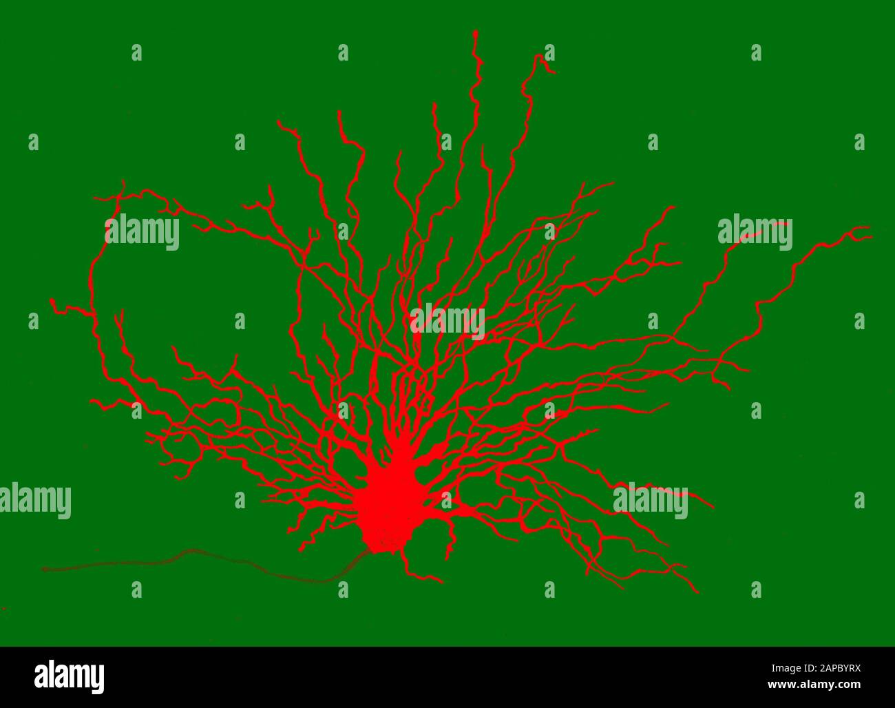 Korper D Imagenes De Stock Amp Korper D Fotos De Stock Alamy