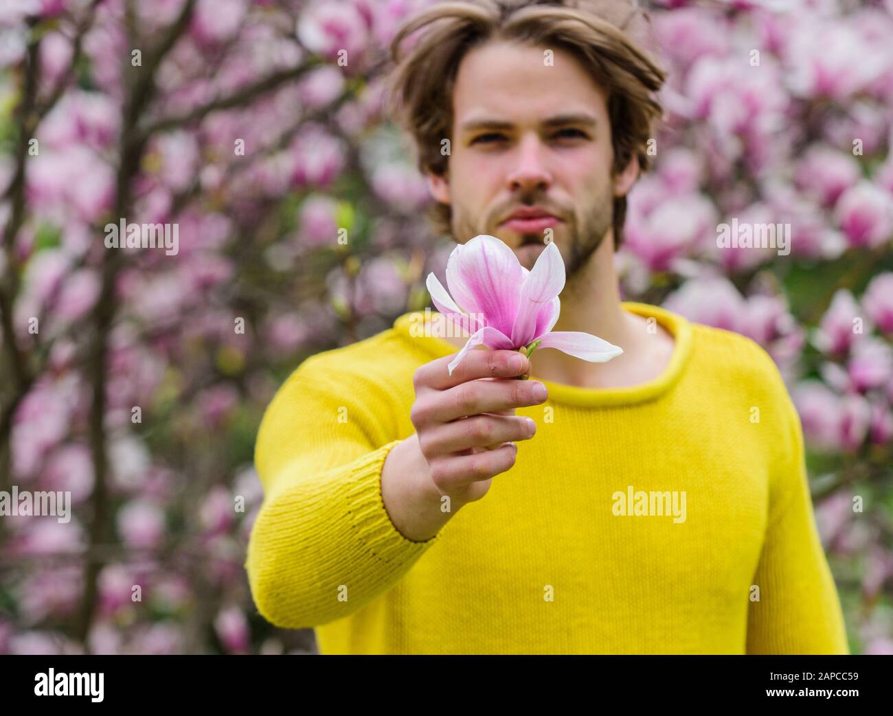 Concepto de cosméticos florales. Hipster Disfrute del aroma de flor. No  shaven hombre Magnolia florecer. Hombre flores fondo defocused. Peinado.  Belleza primaveral. Naturaleza botánica. Belleza masculina. Cuidado del  cabello y belleza Fotografía