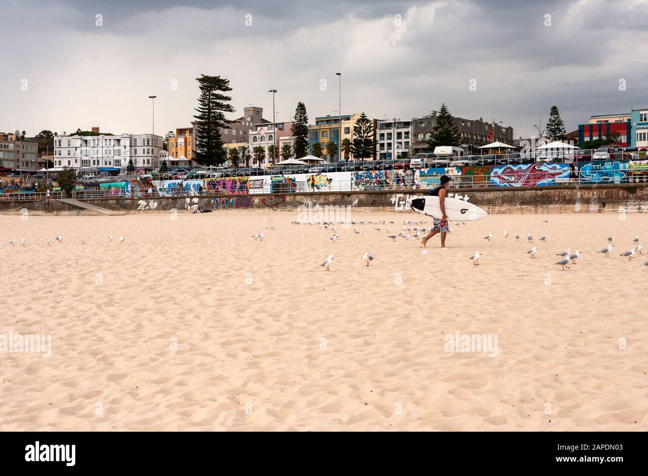 Download Arte de la pared playa de bondi For iPhone Free