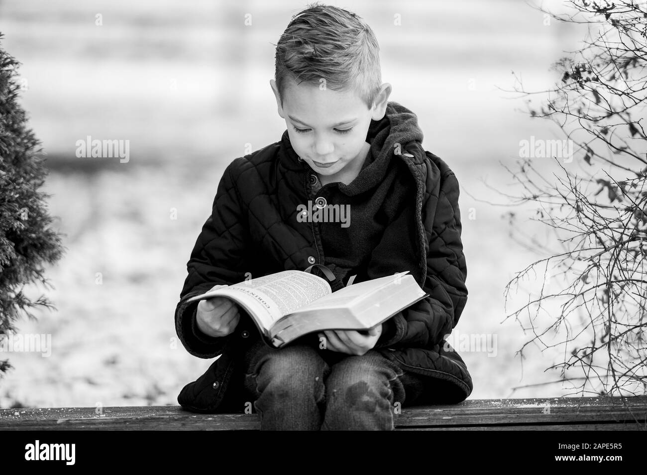 Escala de grises de un niño sentado en tablas de madera y. leyendo la biblia bajo la luz del sol Foto de stock