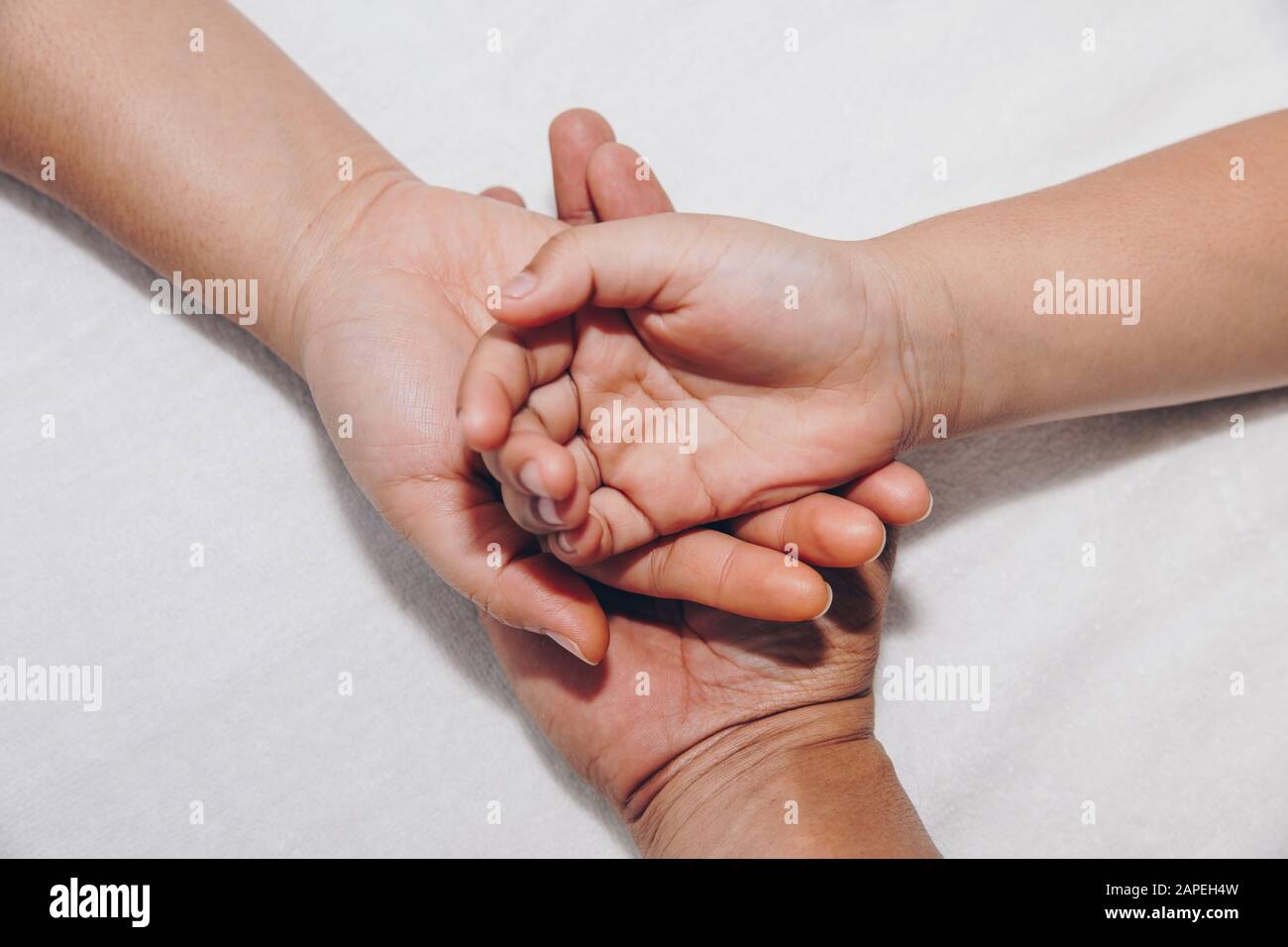 Manos De La Familia Un Bebe Una Hija Una Madre Y Un Padre Concepto De Unidad Apoyo Proteccion Y Felicidad Fotografia De Stock Alamy Manos De La Familia Un Bebe Una Hija Una Madre Y Un Padre Concepto De Unidad Apoyo Proteccion Y Felicidad Fotografia De Stock Alamy