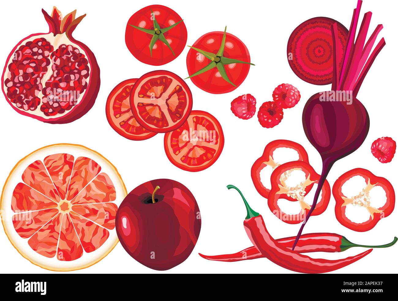 Colección de verduras rojas frescas y frutas crudas sobre fondo blanco  Imagen Vector de stock - Alamy