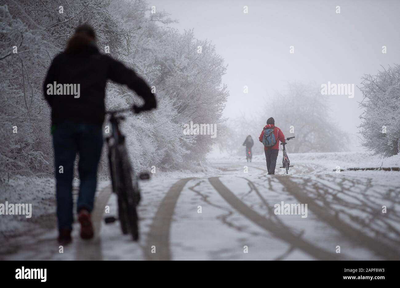 Blaustein, Alemania. 23 de enero de 2020. Los ciclistas empujan sus bicicletas en una carretera cubierta de nieve. Crédito: Marijan Murat/Dpa/Alamy Noticias En Vivo Foto de stock