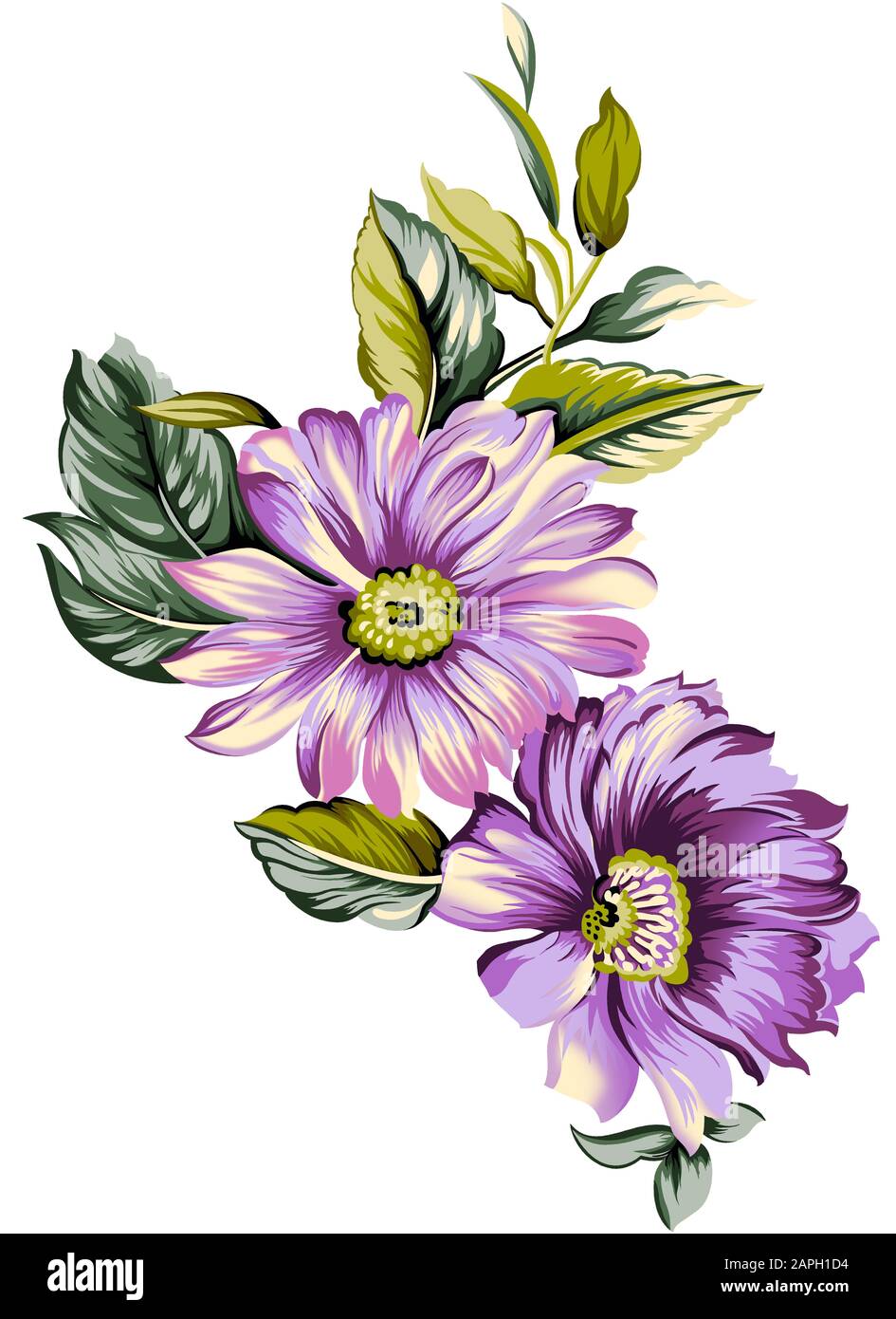 Una composición floral para el estampado textil. Hermosas flores para impresión  digital de alta calidad Fotografía de stock - Alamy