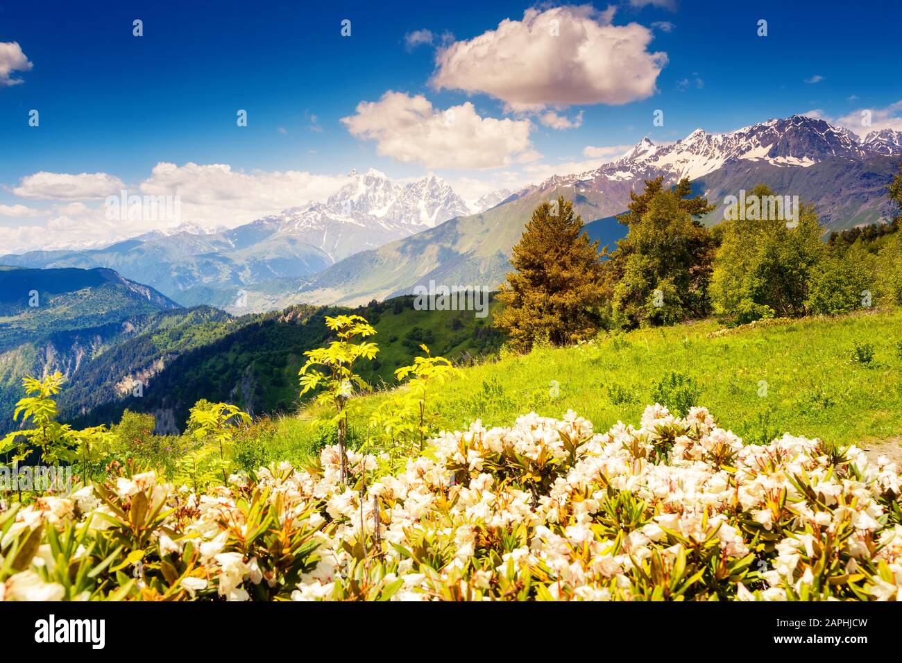 Majestuosa vista de los prados alpinos con cielo azul al pie del glaciar Tetnuldi. Alto Svaneti, Georgia, Europa. Montañas del Cáucaso. Mundo de la belleza. Foto de stock