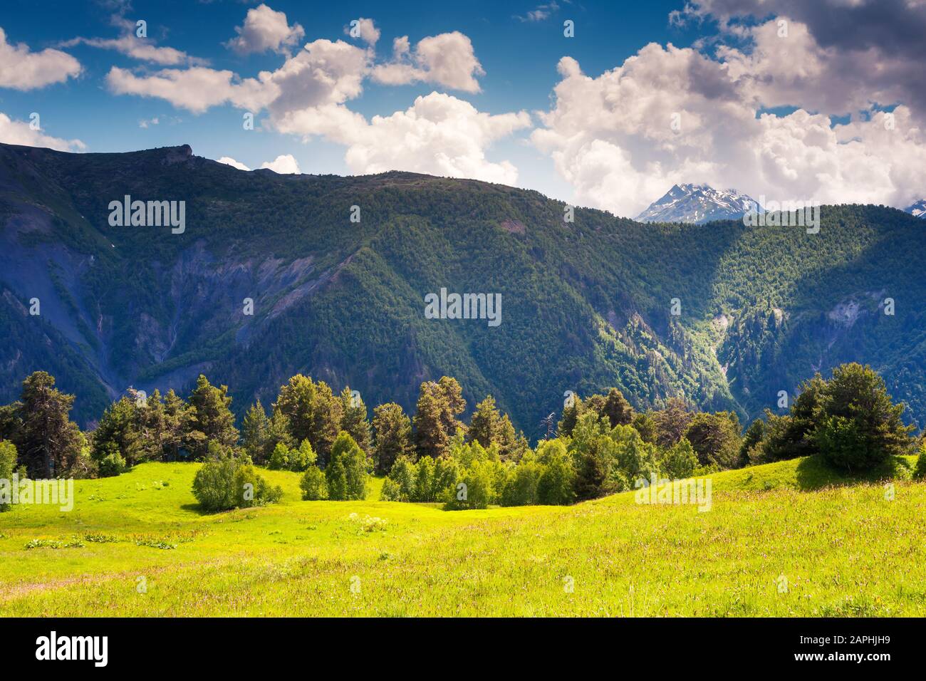 Majestuosa vista de los prados alpinos con cielo azul al pie del glaciar Tetnuldi. Alto Svaneti, Georgia, Europa. Montañas del Cáucaso. Mundo de la belleza. Foto de stock
