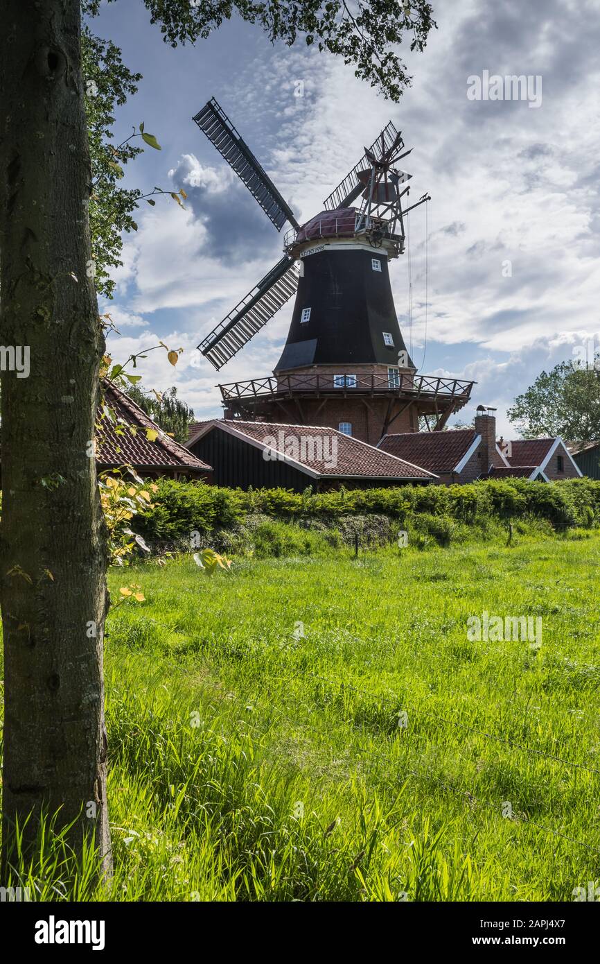 Windmill Rhaude en la naturaleza verde, el distrito de Leer, Frisia del este, Baja Sajonia, Alemania Foto de stock
