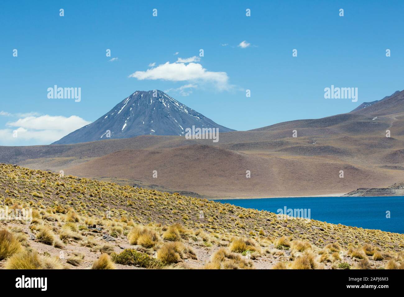 Laguna Miscanti y Volcán Miscanti a 14,000 pies en el Altiplano Chileno