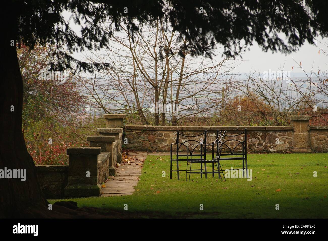 Una vista en un jardín con una pared de piedra baja rodea y sillas de hierro jardín en el césped de hierba todo enmarcado por un árbol grande y maduro de hoja perenne Foto de stock