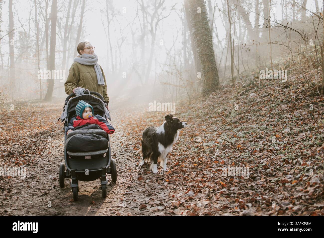 Madre con hijos y collie frontera durante el paseo por el bosque en otoño Foto de stock