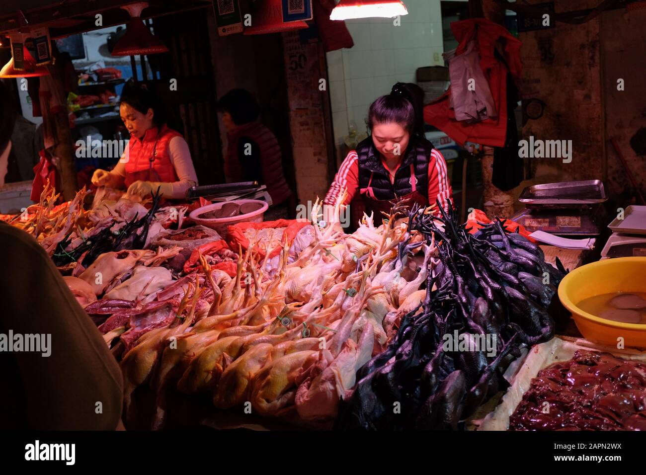 Pollo, incluido el pollo negro de silkie, a la venta en un mercado de Xiamen (Amoy), China. Foto de stock