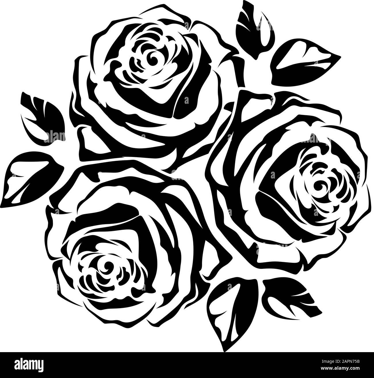 Vector silueta negra de un ramo de tres rosas sobre fondo blanco. Ilustración del Vector