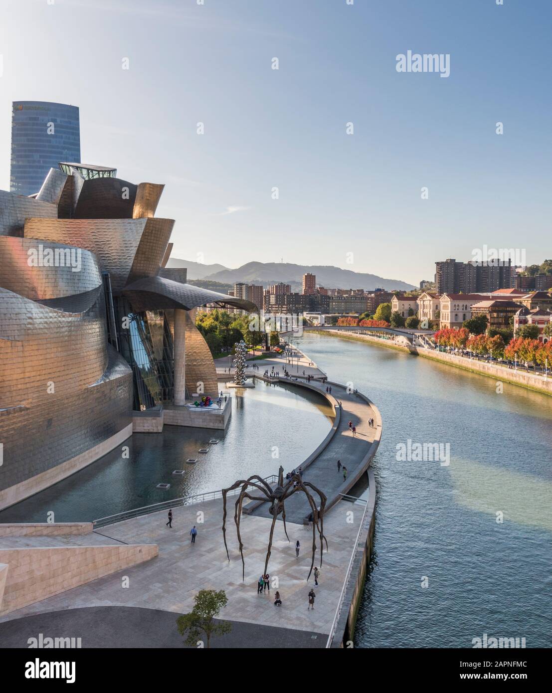 Maman, una gigantesca escultura de araña en las afueras del Museo Guggenheim de Bilbao, España. Foto de stock
