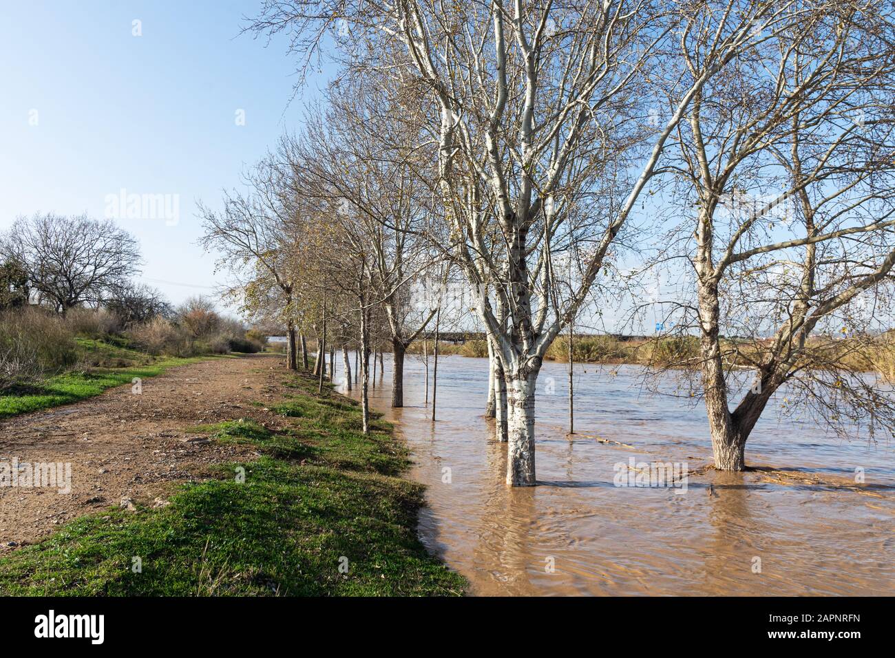 Río inundado, inundaciones en la ciudad, cambio climático, desastre natural, camino al lado del río Foto de stock