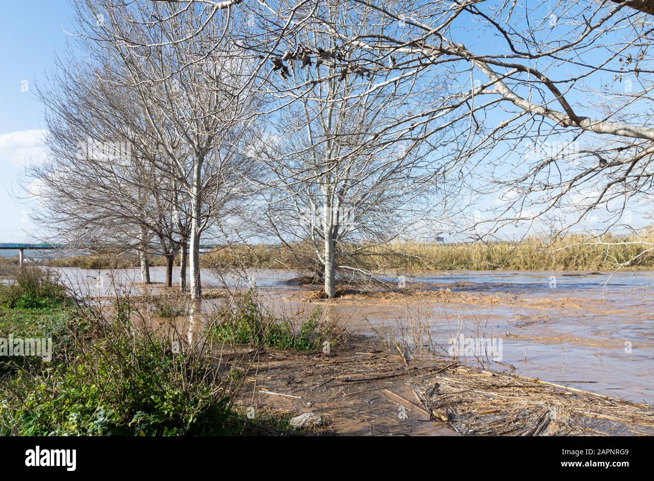 Río inundado, inundaciones en la ciudad, cambio climático, desastres naturales Foto de stock