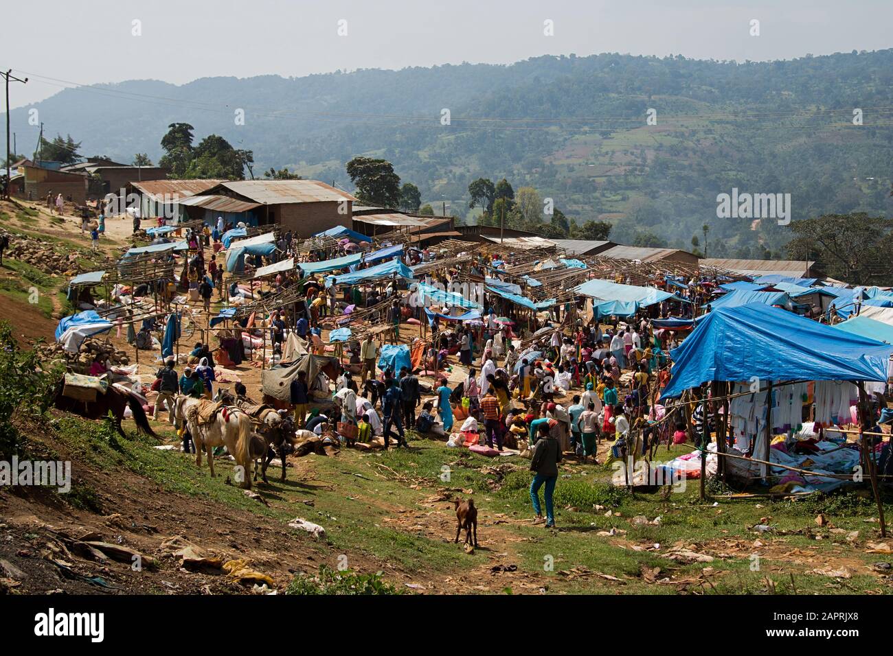 Mercado local de Bonga, en la región de Kaffa, Etiopía Foto de stock