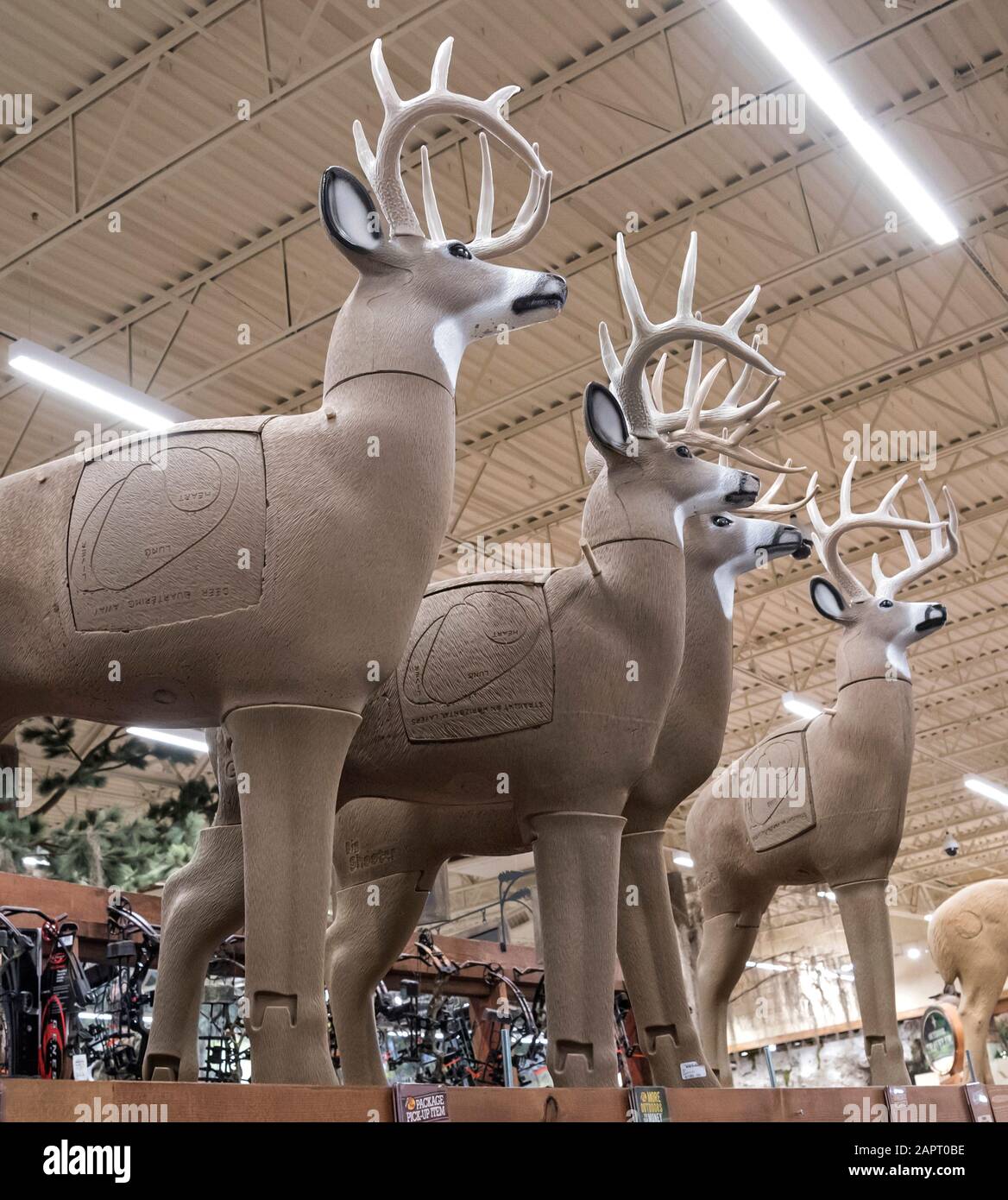 Tamaño de vida 3D tiro con arco blancos y señuelos para la temporada