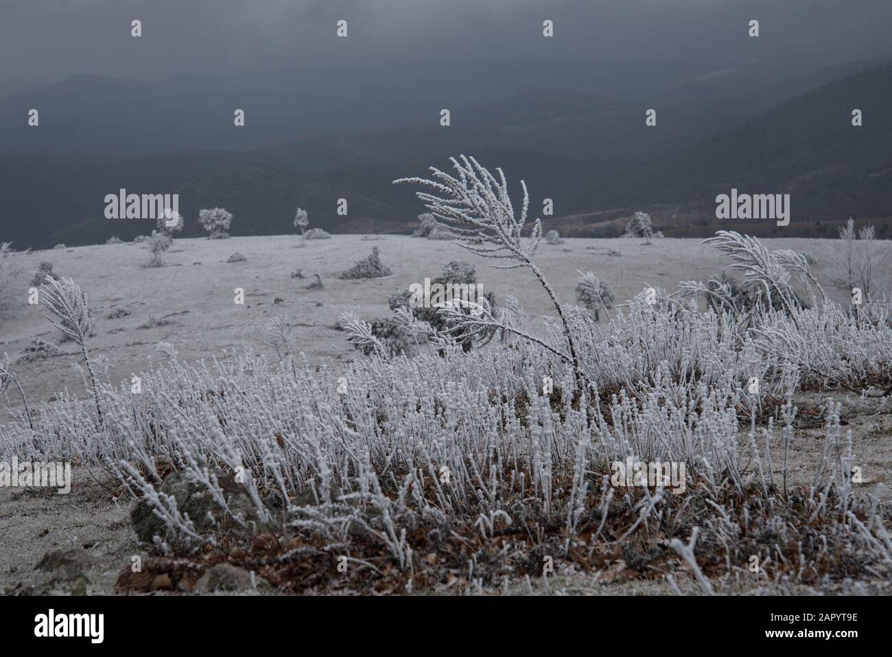 paisaje helado con niebla Foto de stock