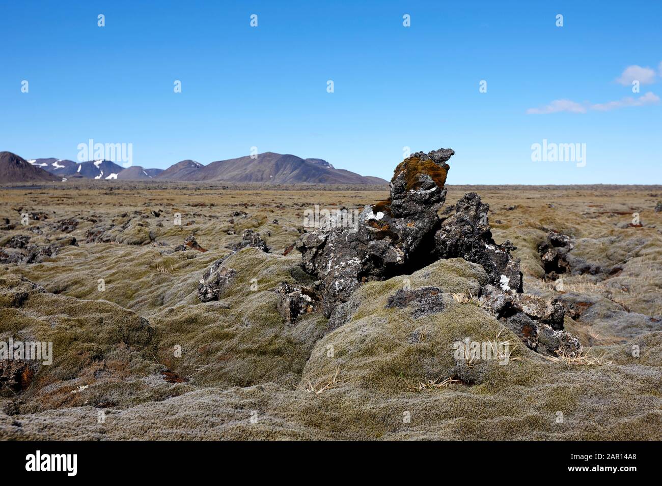campos de roca de lava cubiertos de musgo hellisheidi paisaje islandia Foto de stock