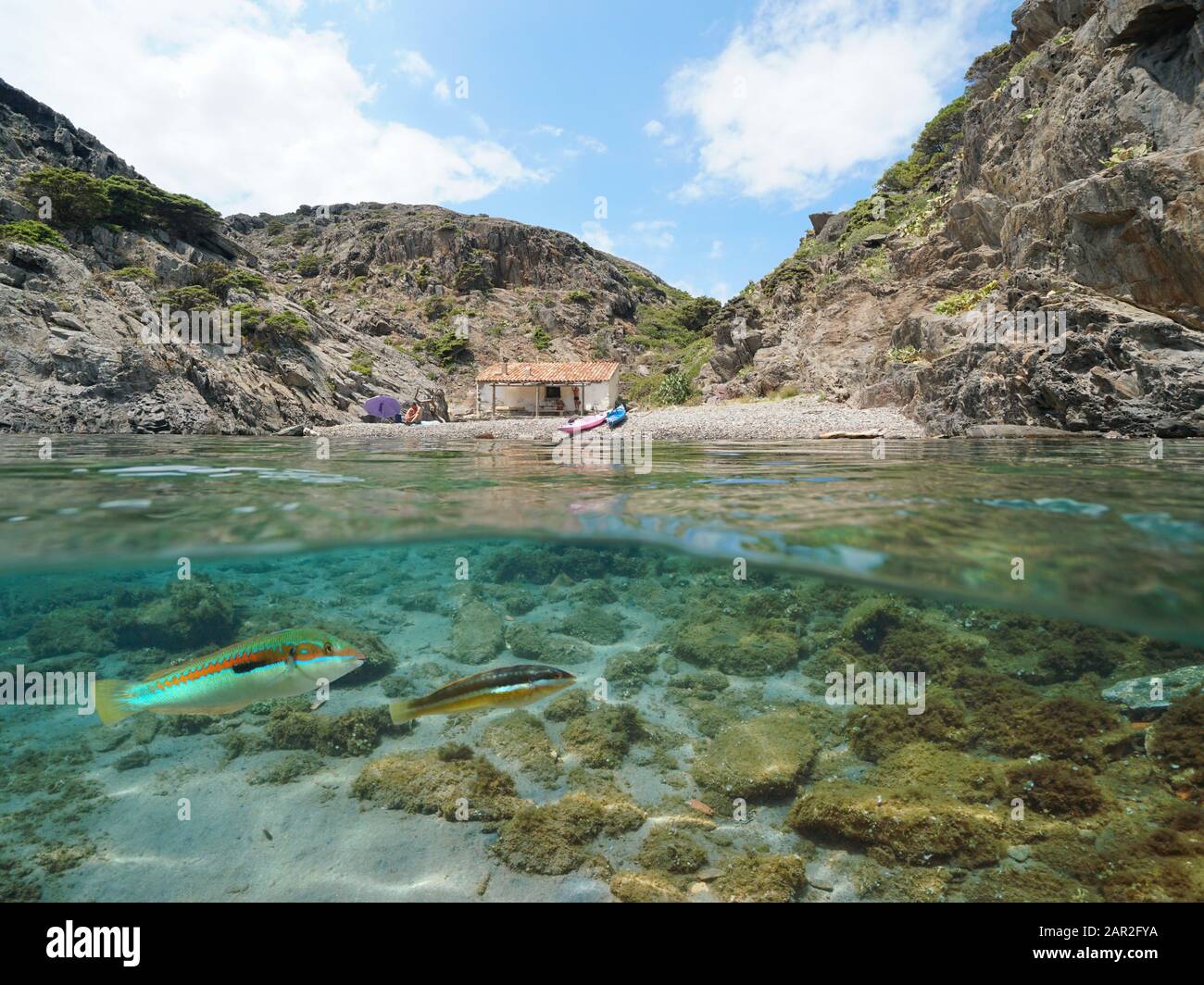 Mar Mediterráneo tranquila playa rocosa en verano con una cabaña y peces bajo el agua, vista dividida sobre y bajo la superficie del agua, España, Cap de Creus Foto de stock