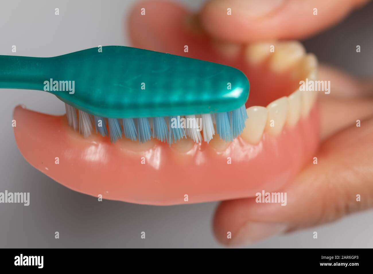 El dentista del doctor muestra cómo limpiar la prótesis dental con el cepillo de dientes, dentadura en la mano Foto de stock