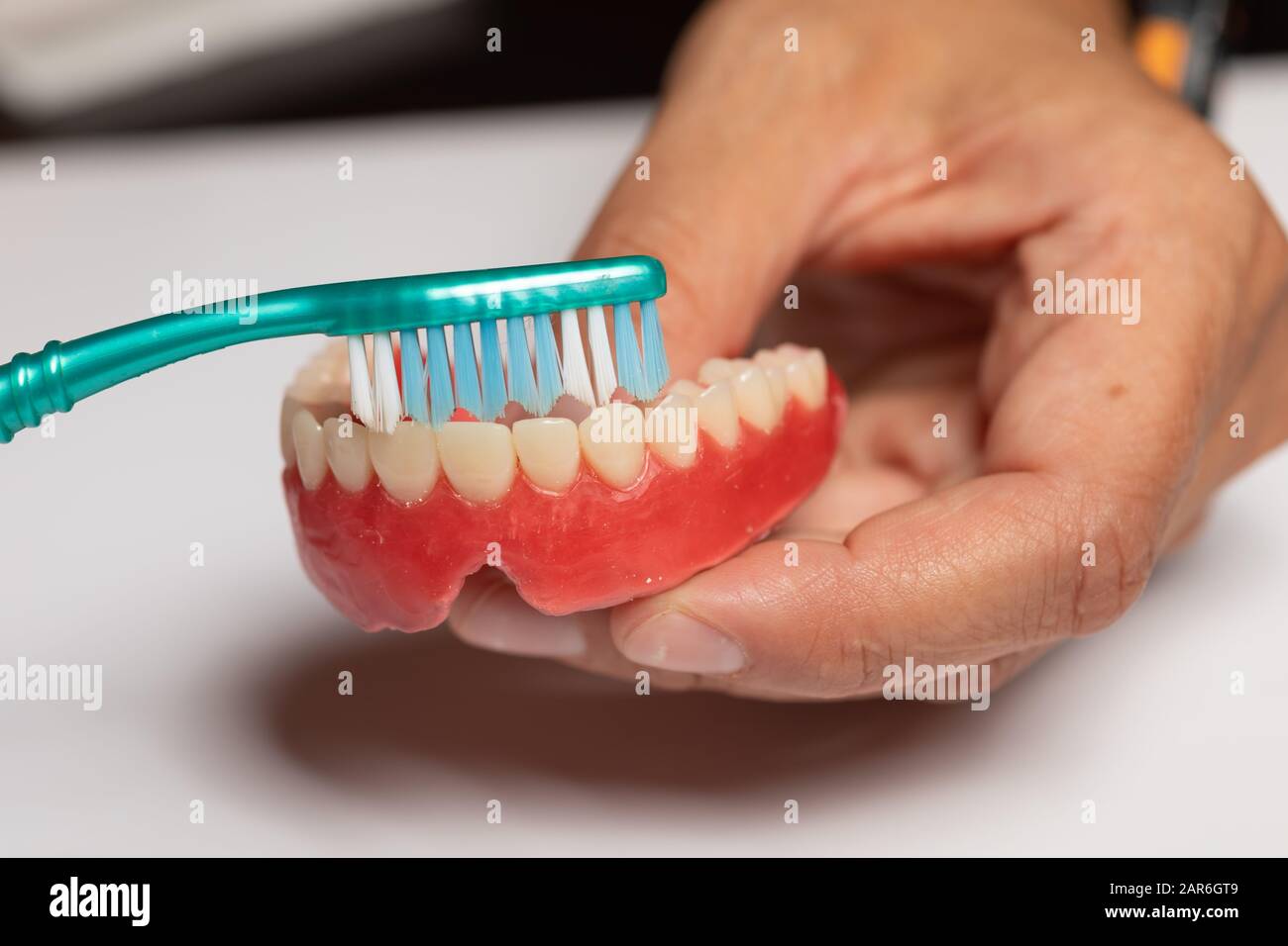 El dentista del doctor muestra cómo limpiar la prótesis dental con el cepillo de dientes, sosteniendo la dentadura Foto de stock