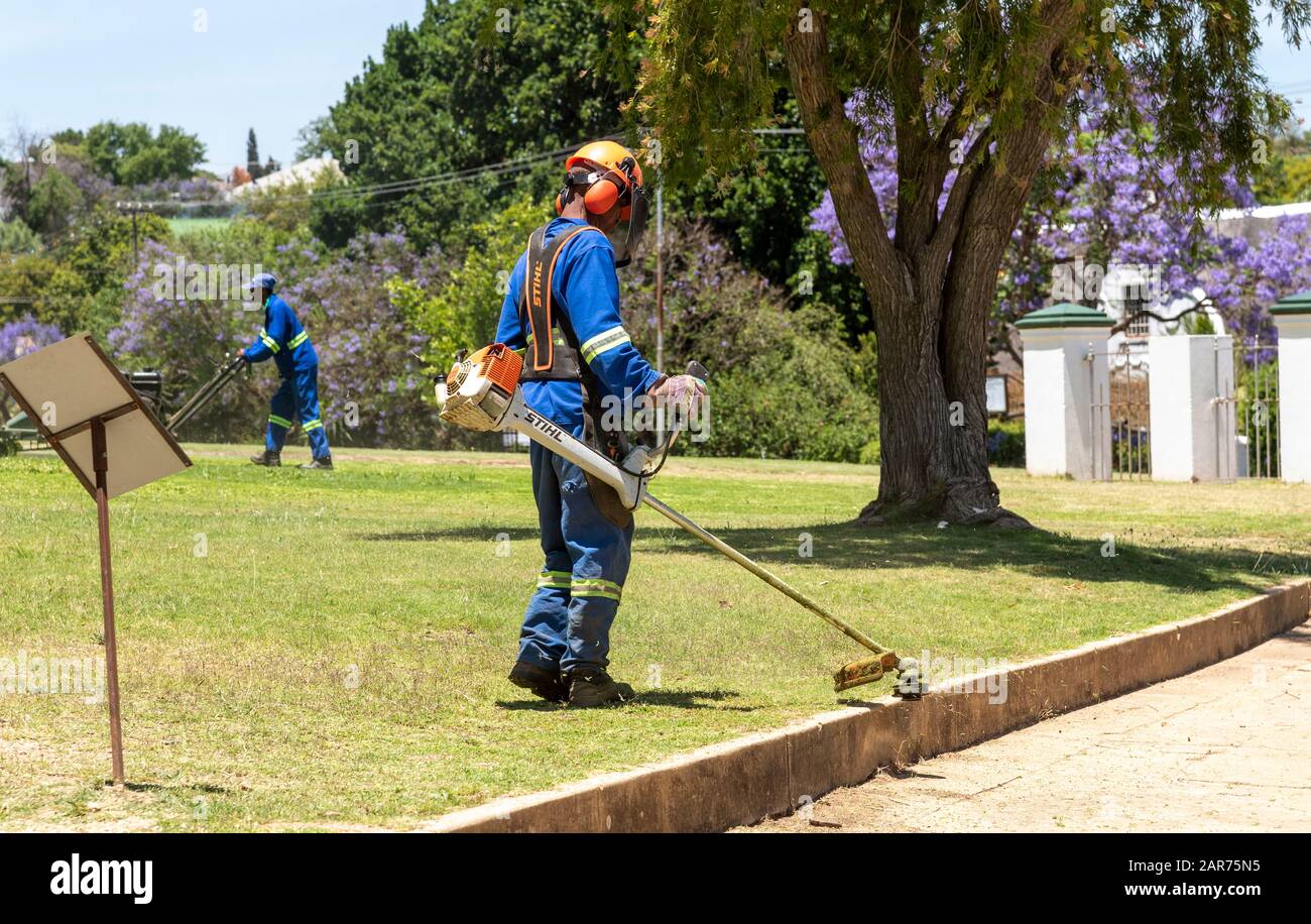 El hombre que lleva ropa protectora y casco de seguridad estridendo hierba en un jardín. Cabo Occidental, Sudáfrica Foto de stock