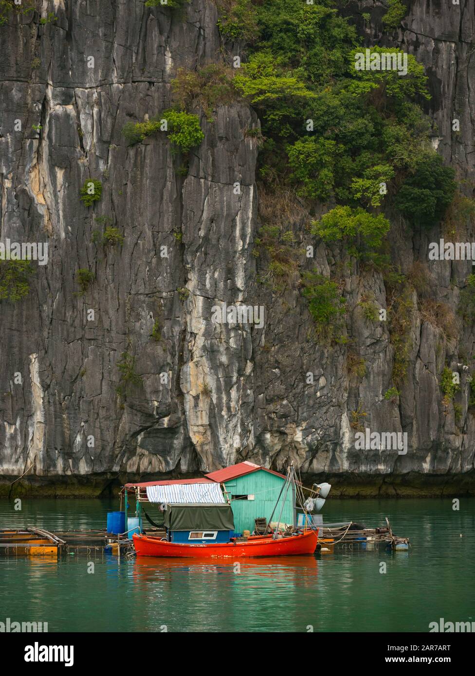 Granja de peces con piedra caliza escarpada acantilado, Lan ha Bay, Vietnam, Asia Foto de stock