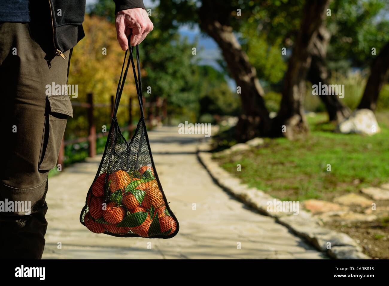 Hombre sosteniendo bolsa de malla reutilizable con naranjas recién recogidas. Concepto de cero residuos. Día soleado Foto de stock