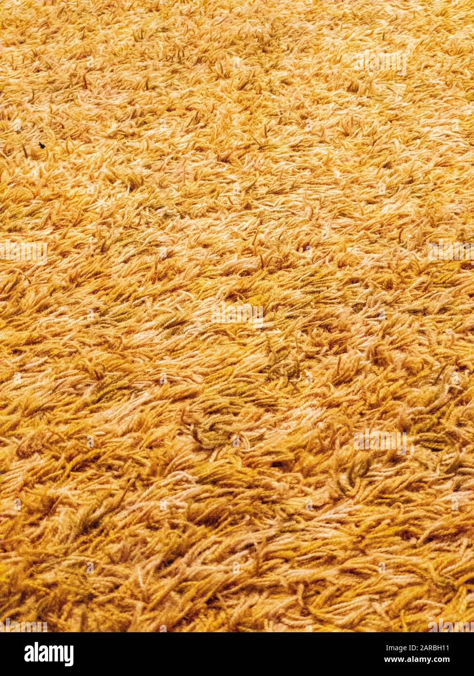 Alfombra amarilla dorada de pelo largo y brumosa en una textura de fondo de  cerca de la mordaza en formato vertical Fotografía de stock - Alamy