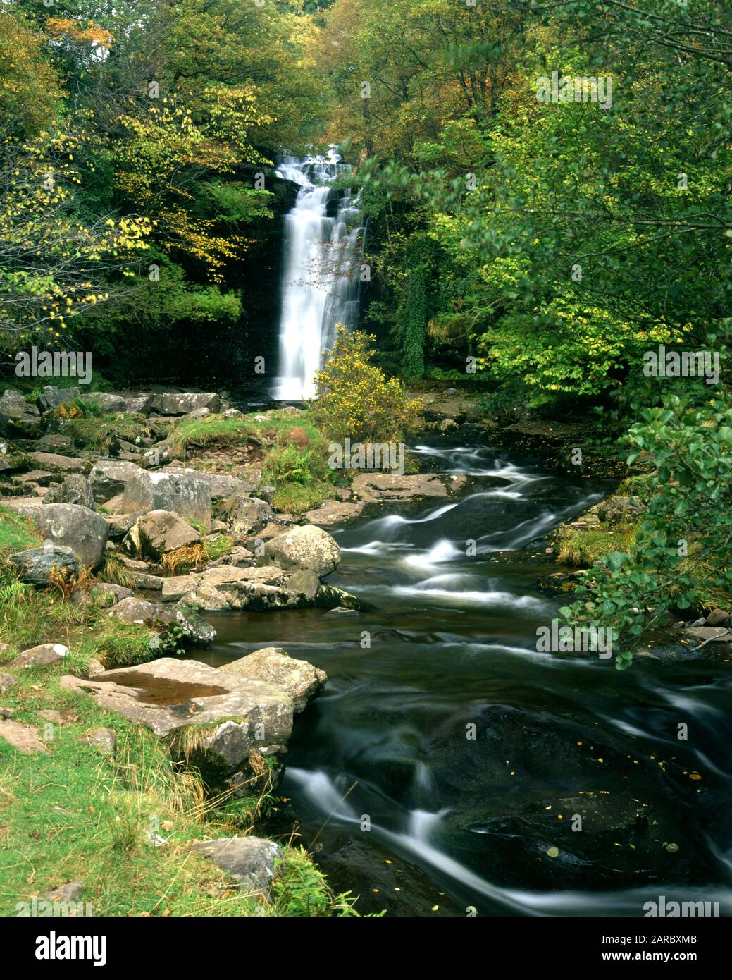 Cascada En El Río Caerfanell, Blaen Y Glyn, Parque Nacional Brecon Beacons, Powys, Gales. Foto de stock