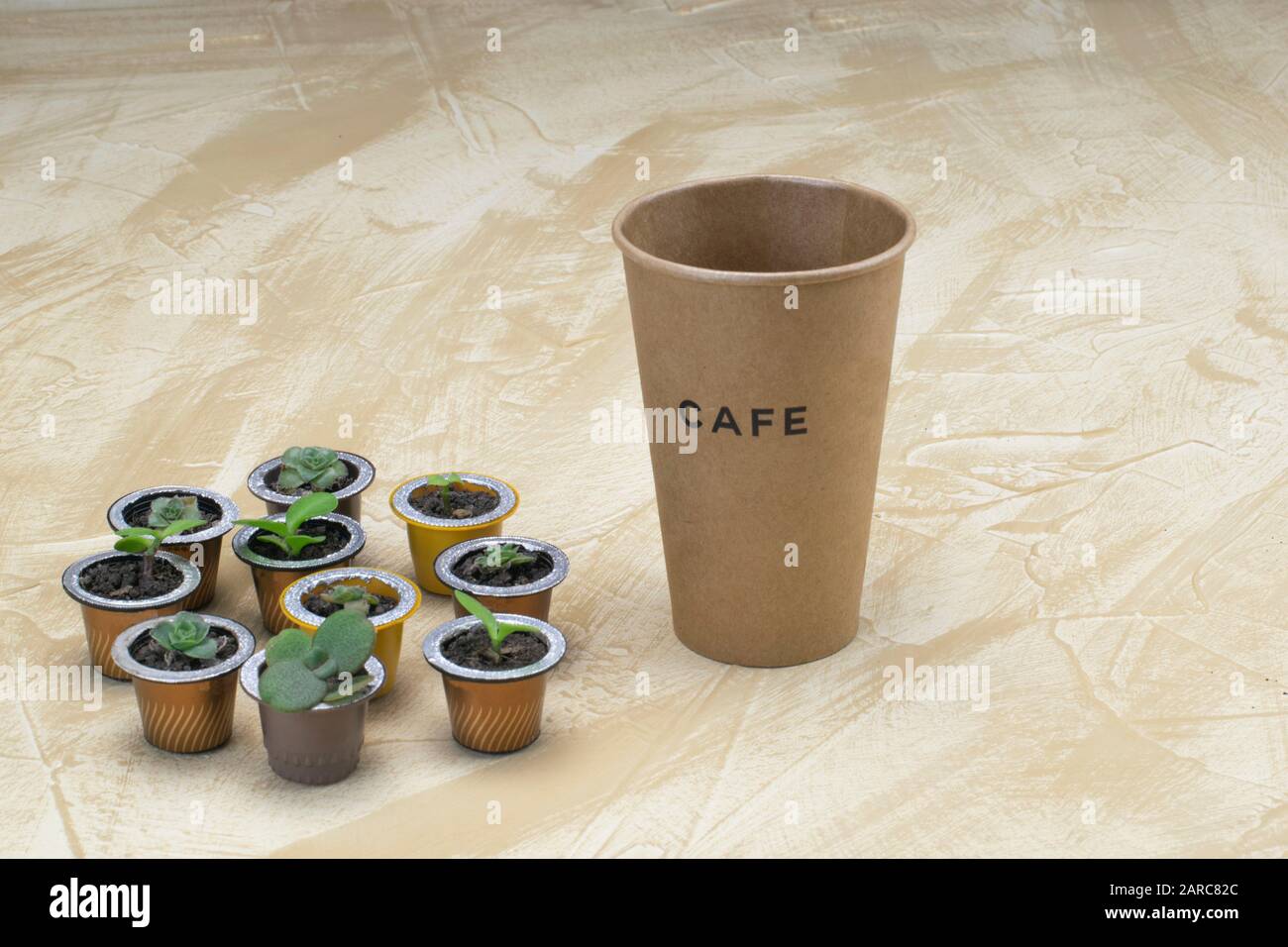 Cápsulas de café reutilizables de acero inoxidable compatibles con varios  tipos de cafetera | Gastronomía \u0026 Cía