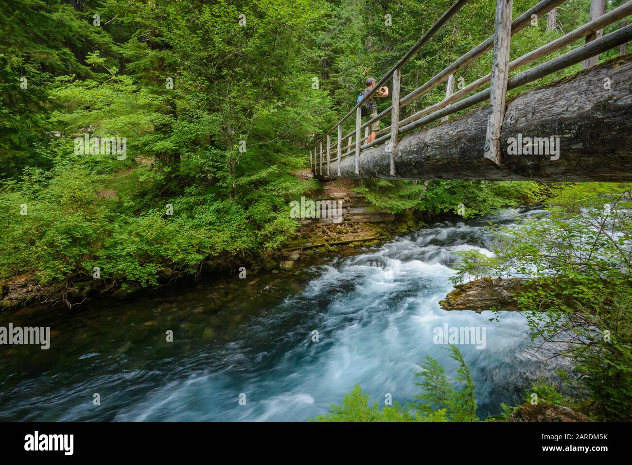 Caminante en el puente sobre el río por McKenzie River National Recreation Trail, el Bosque Nacional de Willamette, en Oregon. Foto de stock