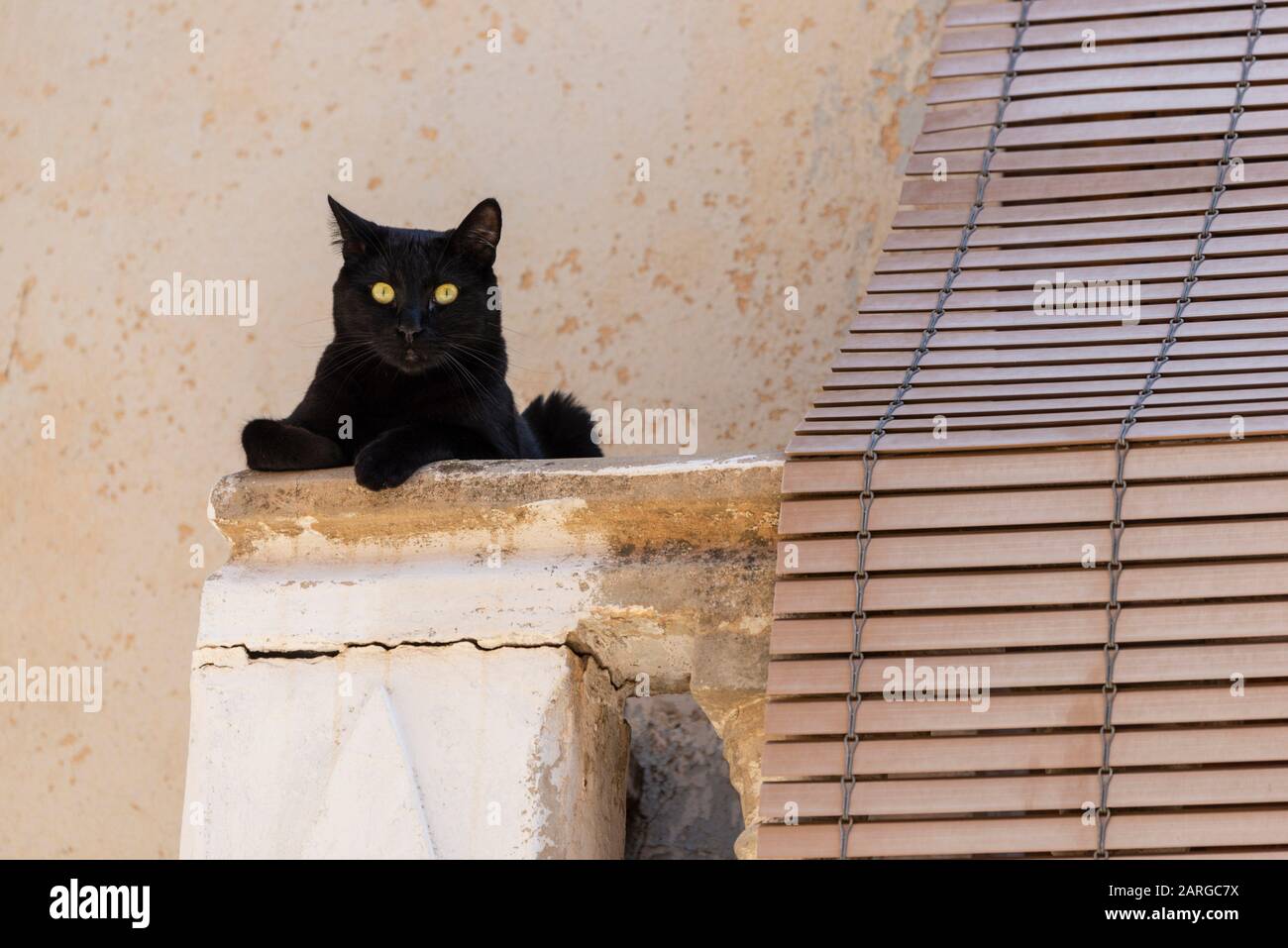 Gato negro en un balcón. Almansa, Provincia De Albacete, España Fotografía  de stock - Alamy