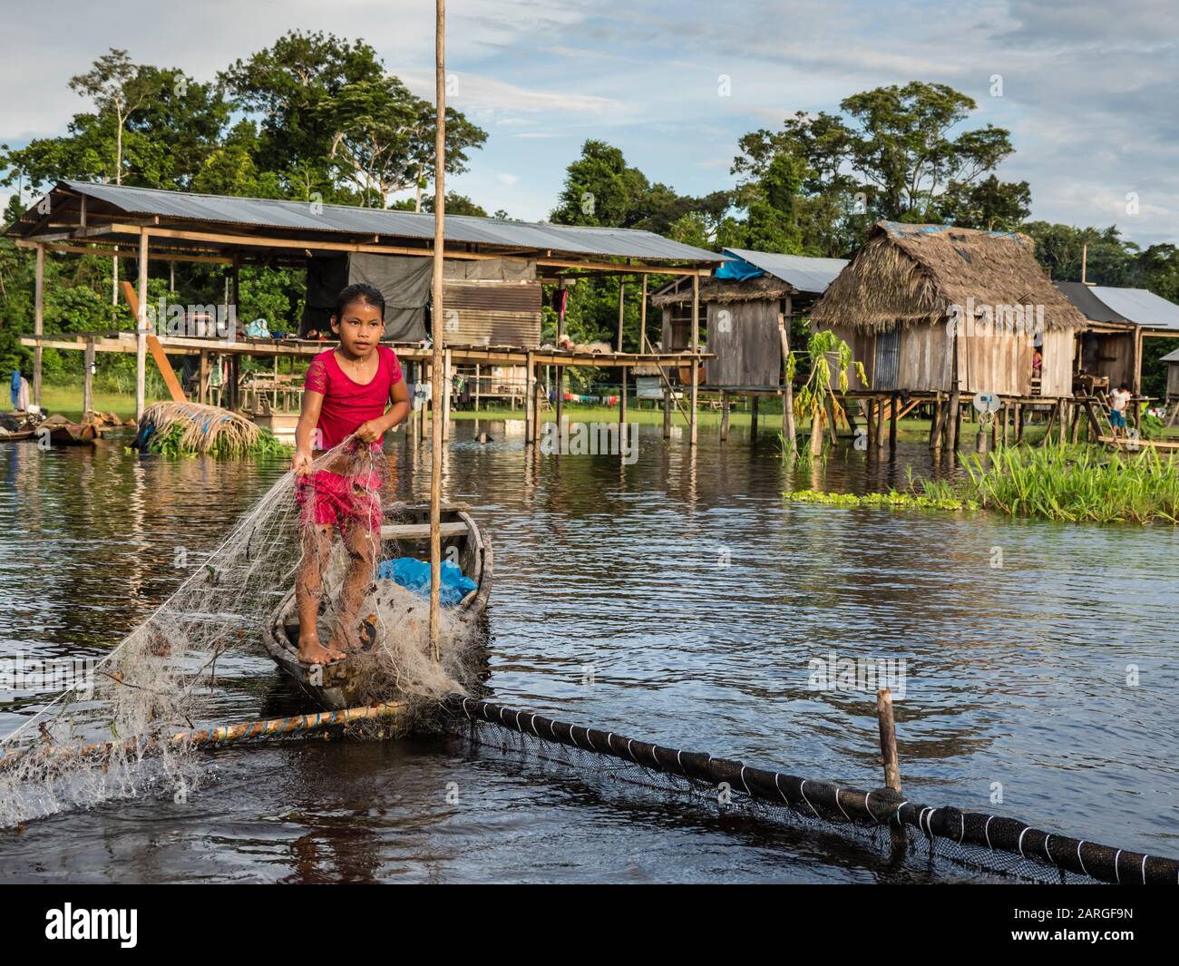 Una joven que recoge bagre de la pluma de pesca familiar en Río el Dorado, Cuenca Amazónica, Loreto, Perú, Sudamérica Foto de stock