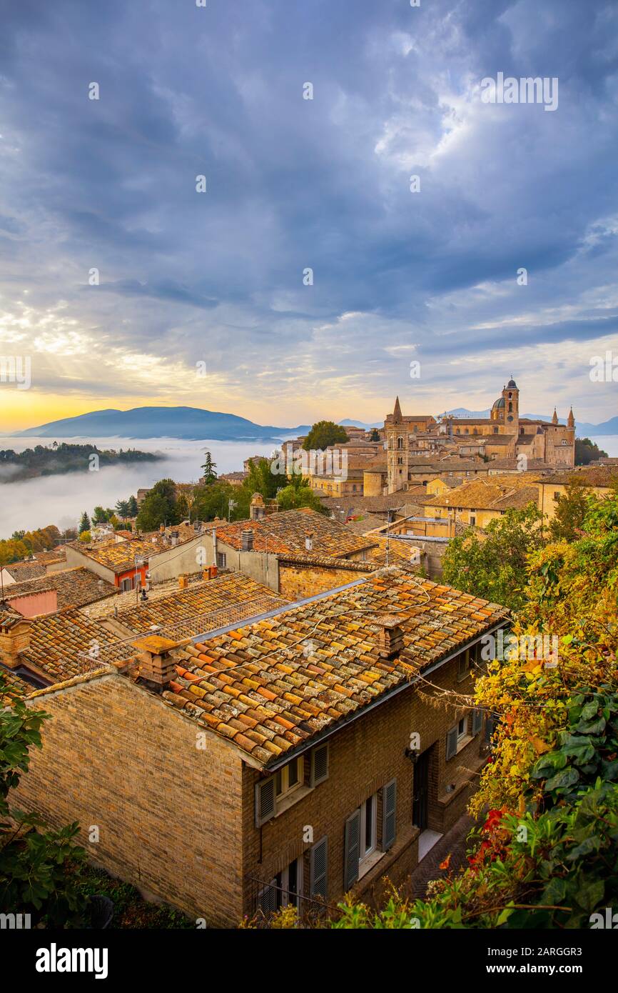Urbino, Marche, Italia, Europa Foto de stock