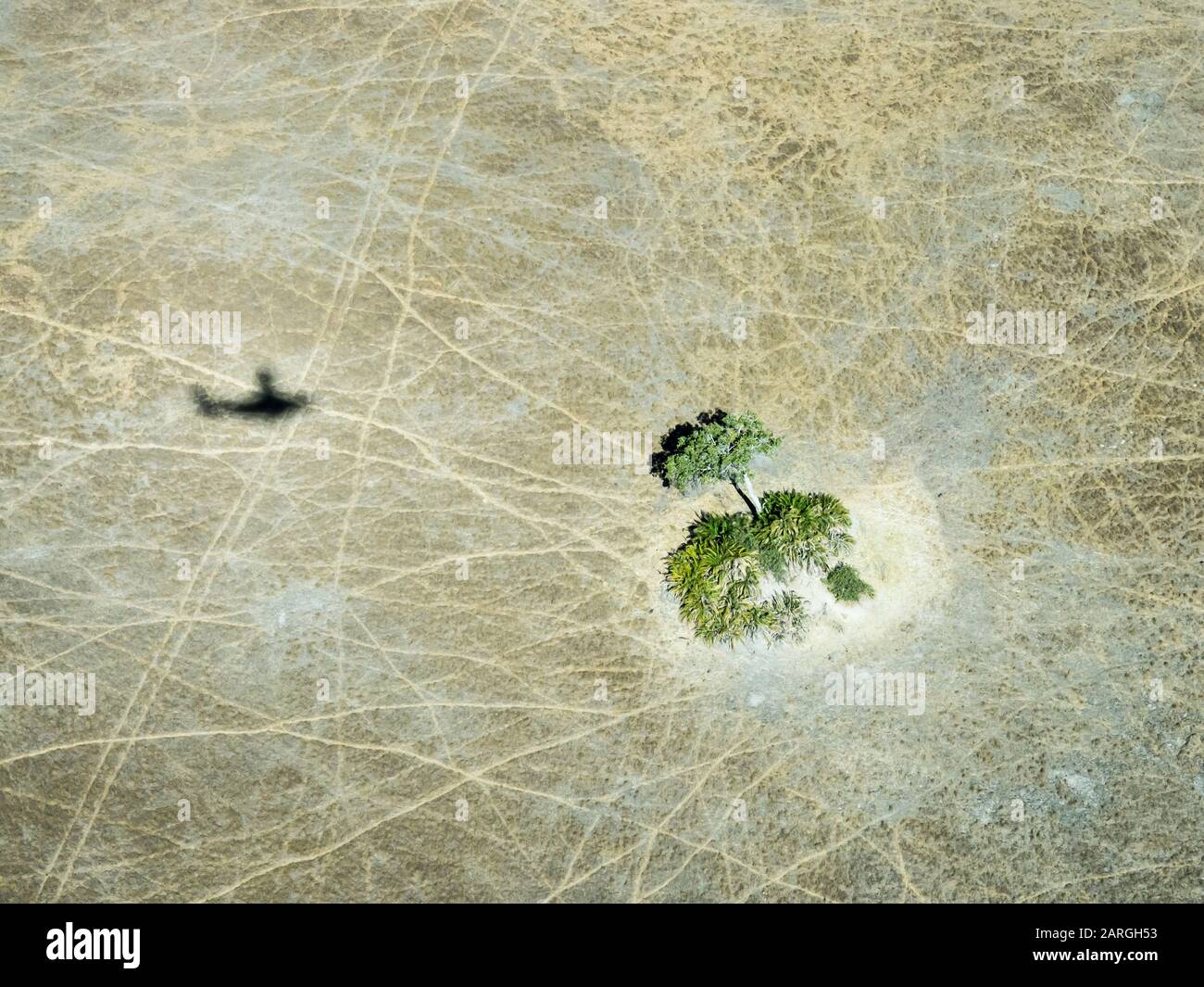 Vista aérea del delta del Okavango durante las condiciones de sequía a principios del otoño, Botswana, África Foto de stock
