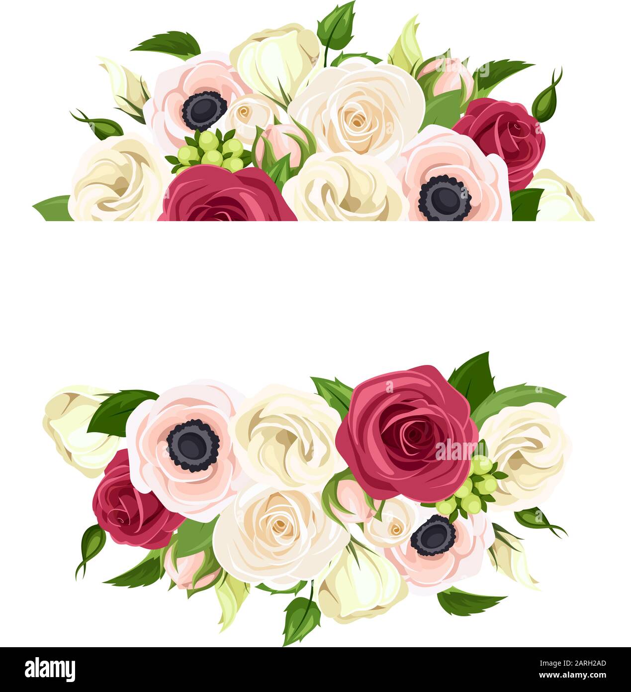 Bandera vectorial con rosas rojas, rosadas y blancas, flores de lisiantones y anémonas y hojas verdes. Ilustración del Vector