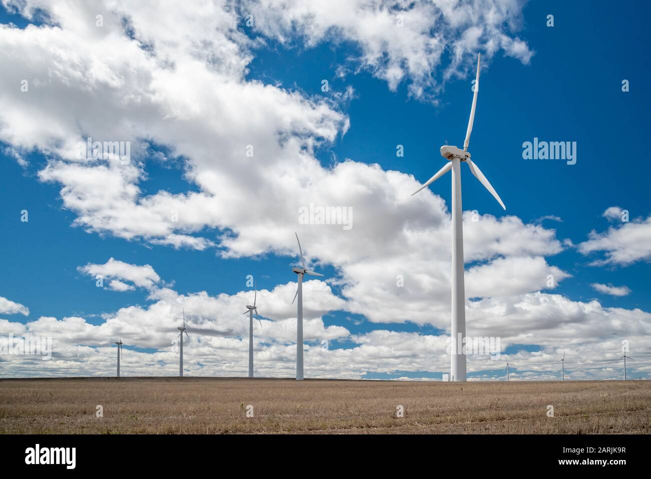 Las turbinas eólicas generadoras de electricidad en campo de trigo cerca de Condon, Oregon. Foto de stock